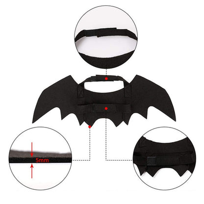 Ailes de Chauve-Souris Halloween pour Chien et Chat - Papapattes