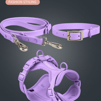 Collier Anti-Morsure Étanche pour Chien - Papapattes