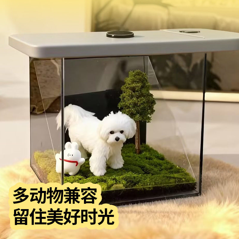 Projection holographique pour animaux de compagnie