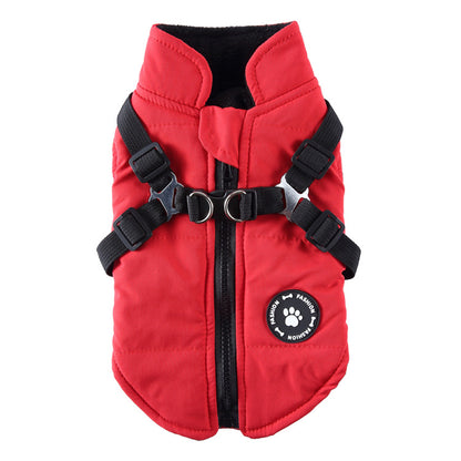 Veste Rembourrée Confortable et Élégante pour Chien - Papapattes