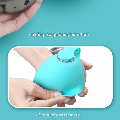 Bouteille d'Eau Pliable en Acier Inoxydable - Papapattes
