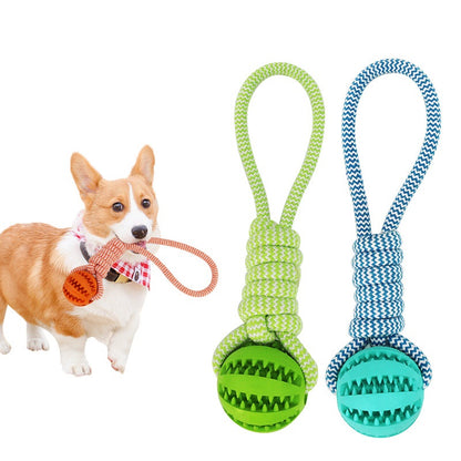 Balles interactives pour petits chiens, combinant jeu et récompenses.