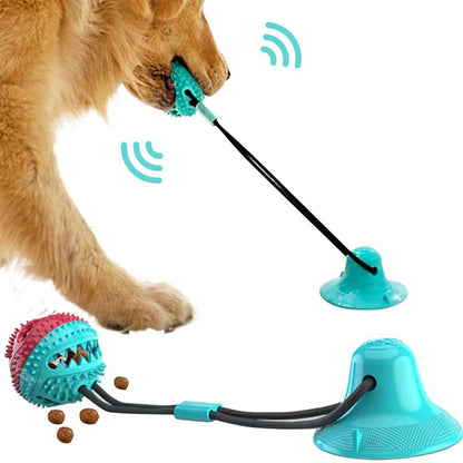 Jouet interactif pour chien, nettoyage dentaire ludique