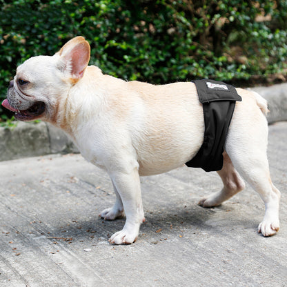 Ceinture de Maintien Hygiénique pour Chien - Papapattes
