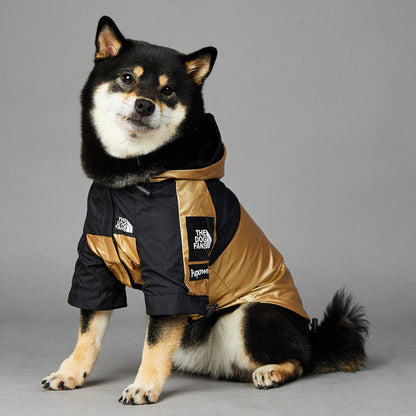 Imperméable élégant pour chien, protection contre la pluie
