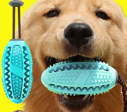 Jouet interactif pour chien, nettoyage dentaire ludique