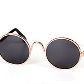 Lunettes de soleil tendance pour chats et chiens, chic