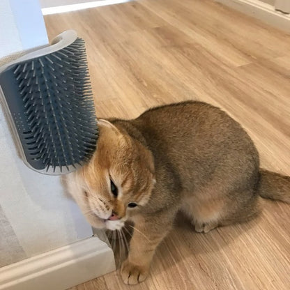 Brosse auto-toilette pour chat, massage et toilettage combinés.
