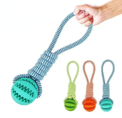 Balles interactives pour petits chiens, combinant jeu et récompenses.