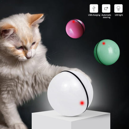 Balle LED laser électronique pour chats en action