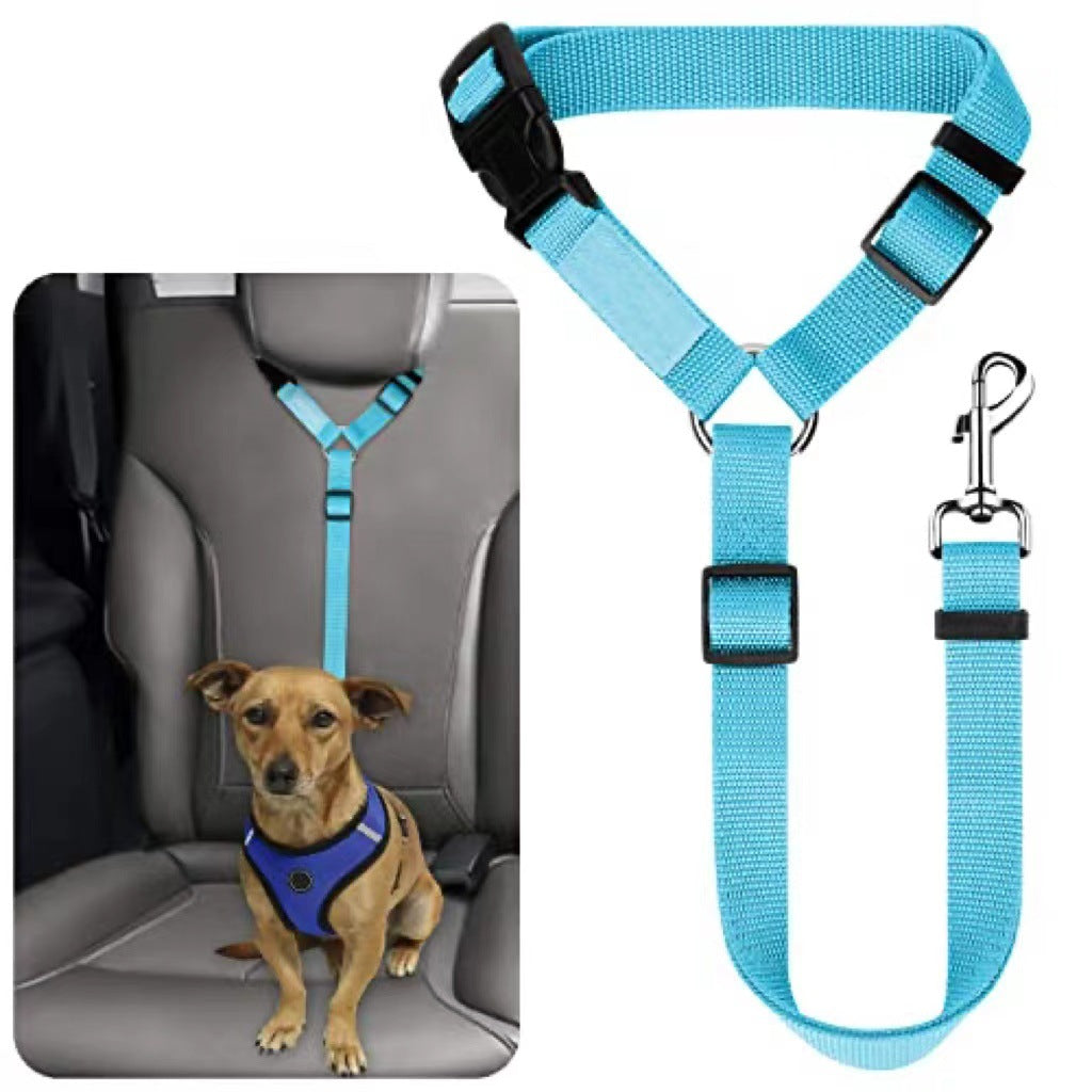 Laisse pour chien, ceinture de sécurité, grand chien
