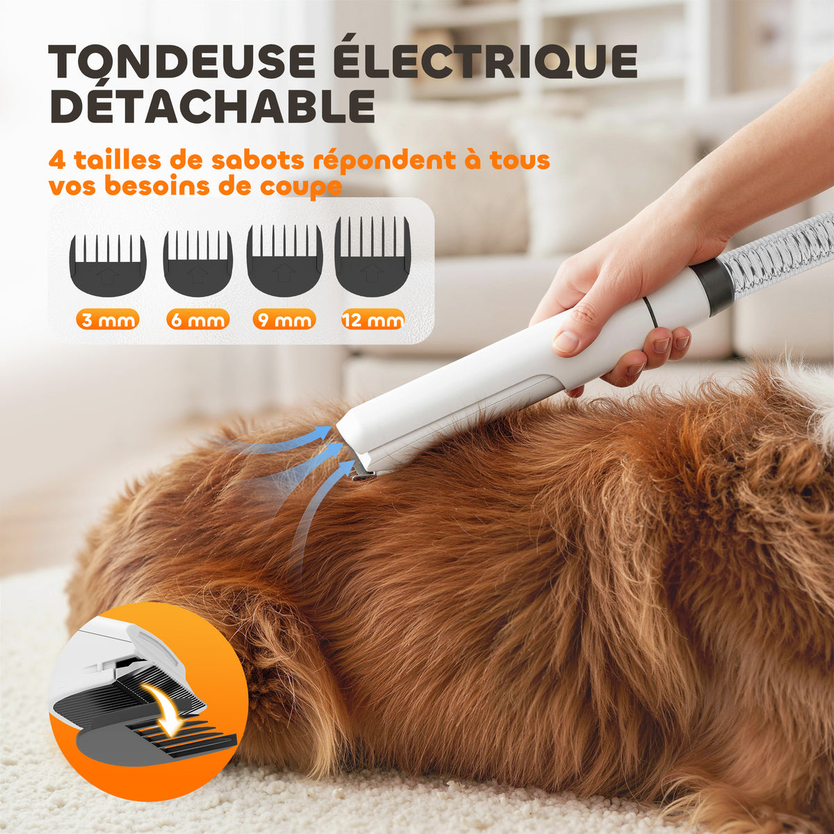 Aspirateur poil de chien et séchoir 5-en-1 kit toilettage chien professionnel 12kPa  50dB 37,6x17,5x18,5cm blanc