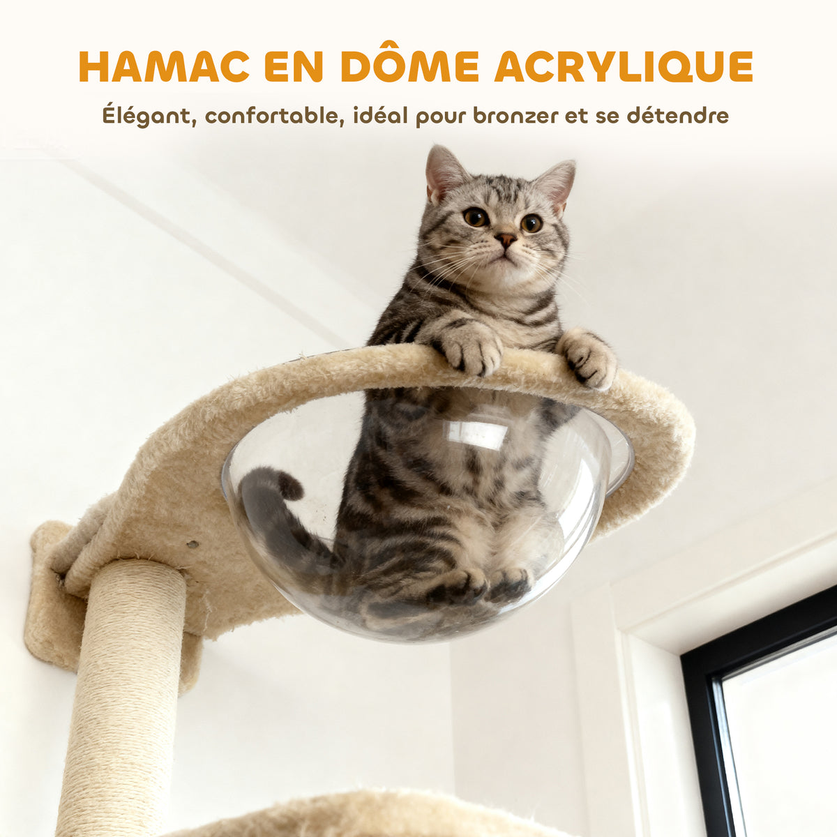 Étagères murales pour chat ensemble de meubles muraux 6 pièces hamac à bulles en acrylique niche hamac échelle beige-5