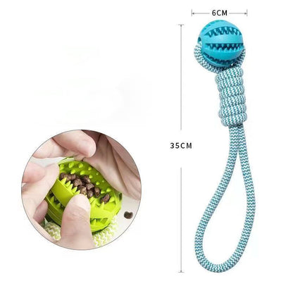 Balles interactives pour petits chiens, combinant jeu et récompenses.