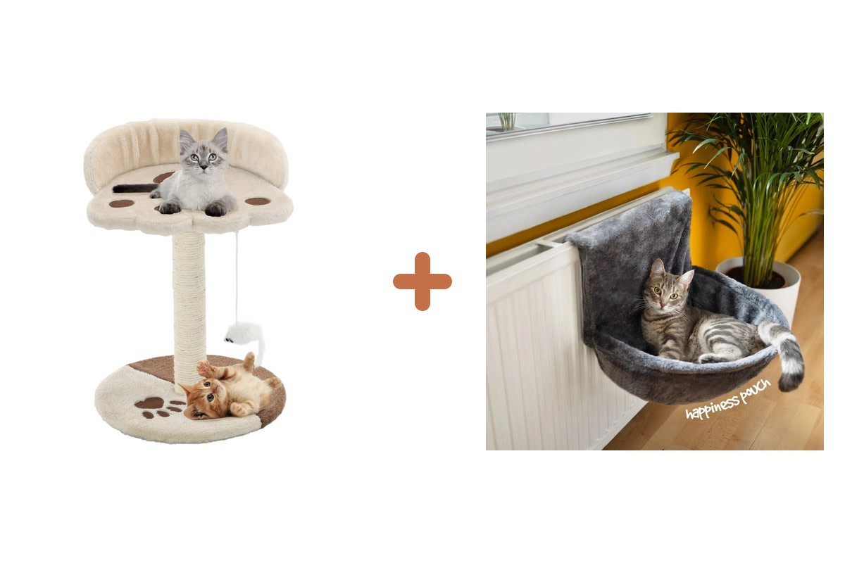 Pack kit-confort-chat