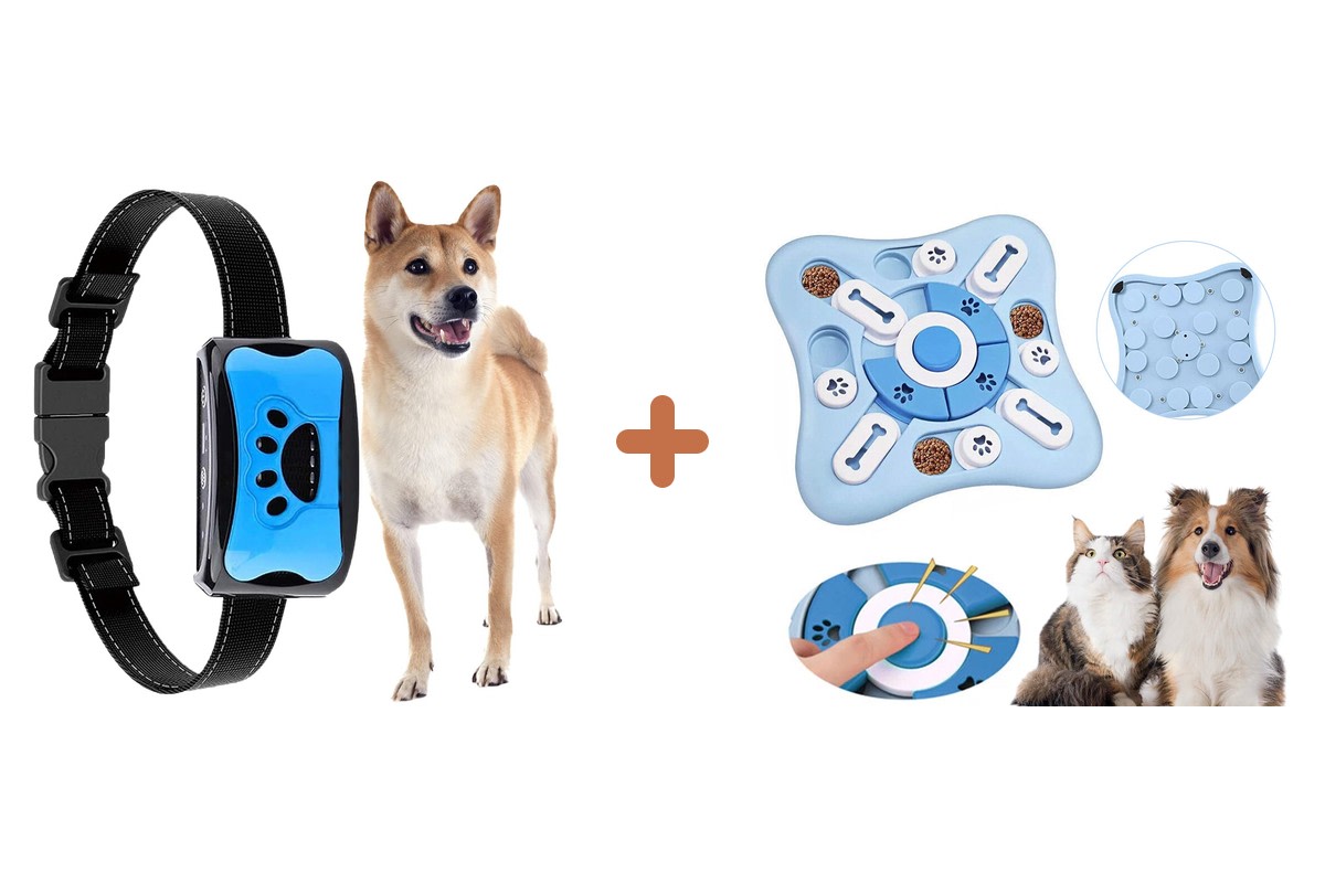 Pack kit-dressage-chien