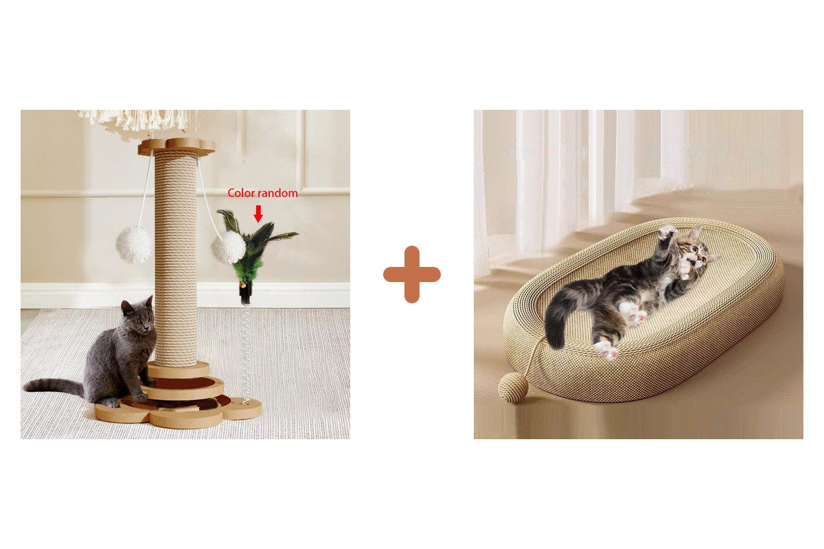 Pack kit-griffoirs-chat
