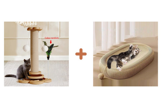 Pack kit-griffoirs-chat