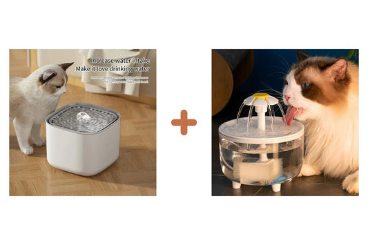 Pack kit-hydratation-chat-eprolo