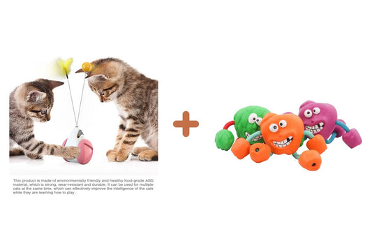 Pack kit-jeux-chat-eprolo