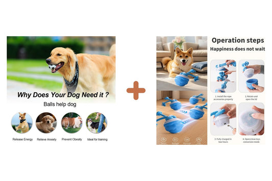 Pack kit-jeux-chien-balles