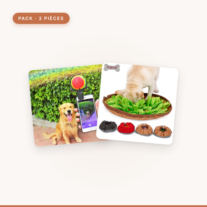 Pack Jeu et Amusement