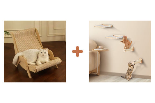 Pack kit-mobilier-chat