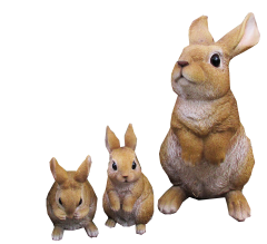 Lapins & Rongeurs