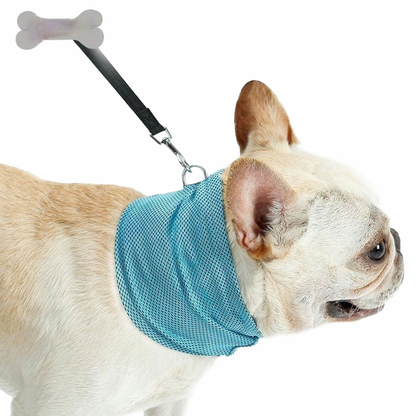 Bandana Rafraîchissant pour Animaux - Papapattes