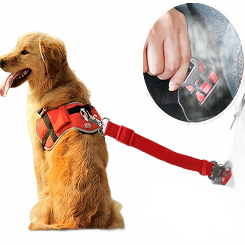 Ceinture de sécurité ajustable pour chien et chat - Papapattes