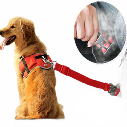 Ceinture de sécurité ajustable pour chien et chat - Papapattes